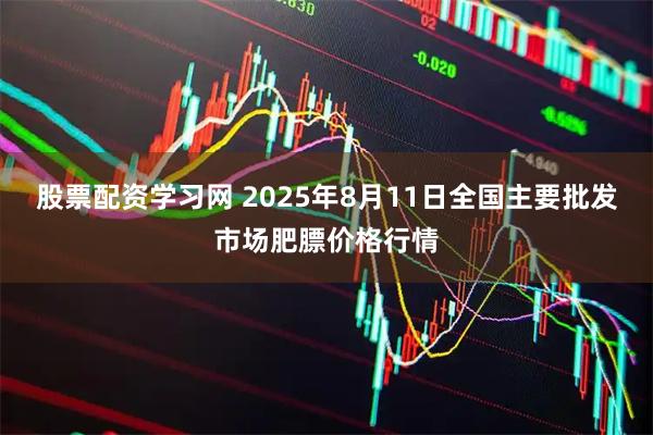 股票配资学习网 2025年8月11日全国主要批发市场肥膘价格行情