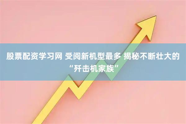 股票配资学习网 受阅新机型最多 揭秘不断壮大的“歼击机家族”