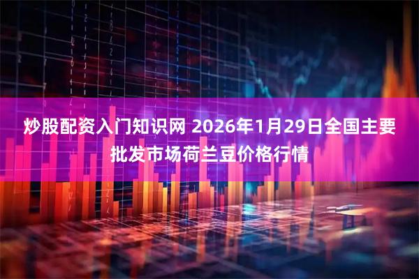 炒股配资入门知识网 2026年1月29日全国主要批发市场荷兰豆价格行情