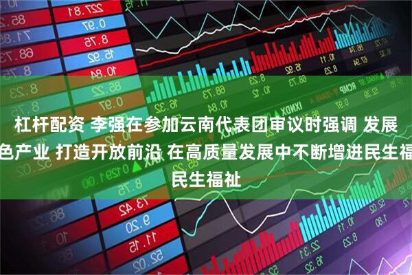 杠杆配资 李强在参加云南代表团审议时强调 发展特色产业 打造开放前沿 在高质量发展中不断增进民生福祉