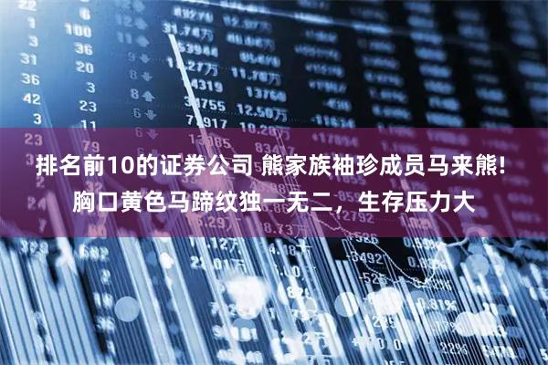 排名前10的证券公司 熊家族袖珍成员马来熊! 胸口黄色马蹄纹独一无二，生存压力大