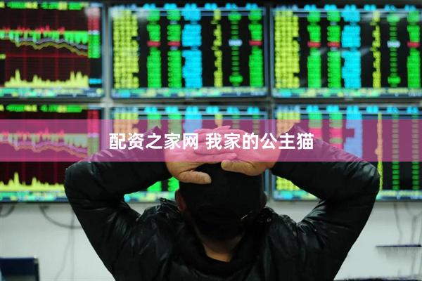 配资之家网 我家的公主猫