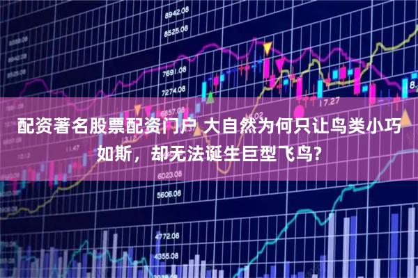 配资著名股票配资门户 大自然为何只让鸟类小巧如斯，却无法诞生巨型飞鸟?
